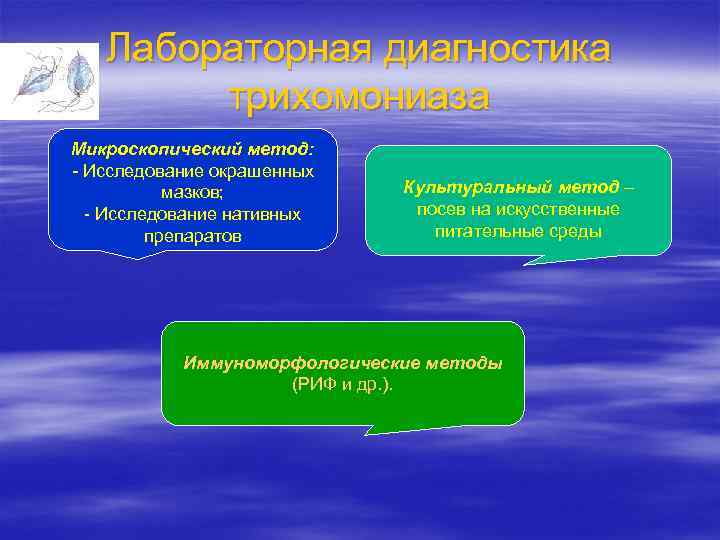 Лабораторная диагностика трихомониаза Микроскопический метод: - Исследование окрашенных мазков; - Исследование нативных препаратов Культуральный