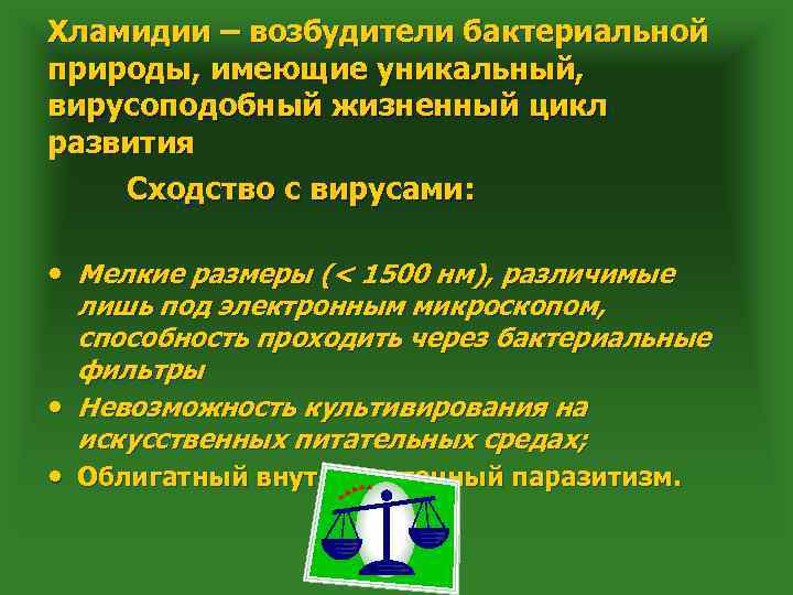 Хламидии – возбудители бактериальной природы, имеющие уникальный, вирусоподобный жизненный цикл развития Сходство с вирусами: