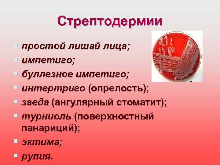 Стрептодермии § простой лишай лица; § импетиго; § буллезное импетиго; § интертриго (опрелость); §