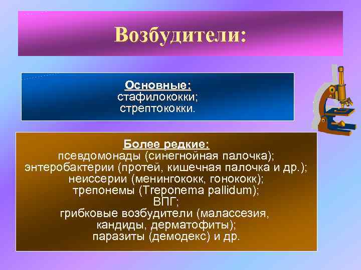 Возбудители: Основные: стафилококки; стрептококки. Более редкие: псевдомонады (синегнойная палочка); энтеробактерии (протей, кишечная палочка и