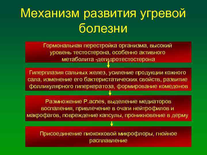 Механизм развития угревой болезни Гормональная перестройка организма, высокий уровень тестостерона, особенно активного метаболита -дегидротестостерона