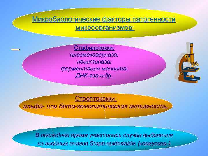 Микробиологические факторы патогенности микроорганизмов: Стафилококки: плазмокоагулаза; лецитиназа; ферментация маннита; ДНК-аза и др. Стрептококки: альфа-