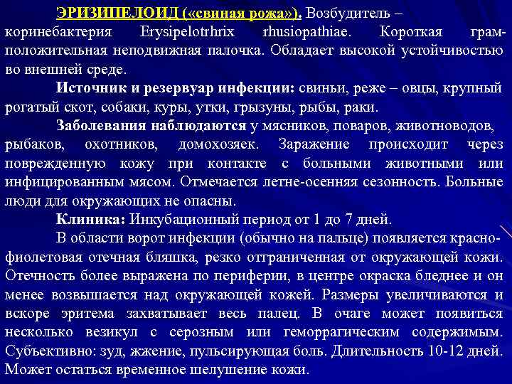 ЭРИЗИПЕЛОИД ( «свиная рожа» ). Возбудитель – коринебактерия Erysipelotrhrix rhusiopathiae. Короткая грамположительная неподвижная палочка.