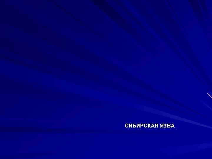 СИБИРСКАЯ ЯЗВА 