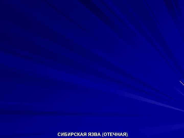 СИБИРСКАЯ ЯЗВА (ОТЕЧНАЯ) 