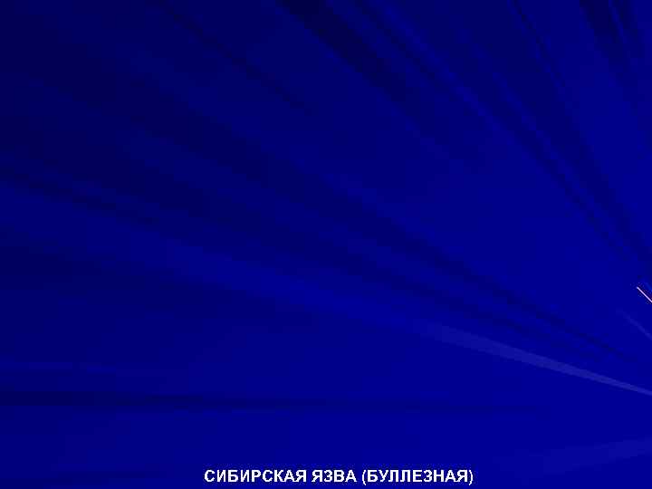 СИБИРСКАЯ ЯЗВА (БУЛЛЕЗНАЯ) 