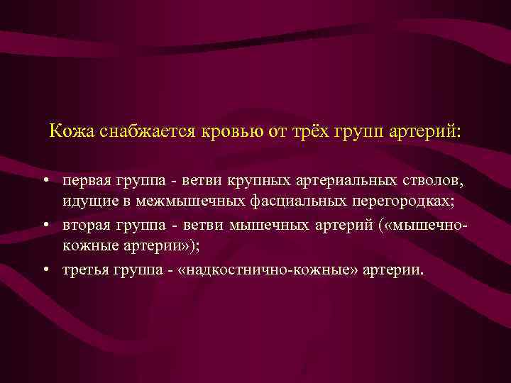 Кожа снабжается кровью от трёх групп артерий: • первая группа - ветви крупных артериальных