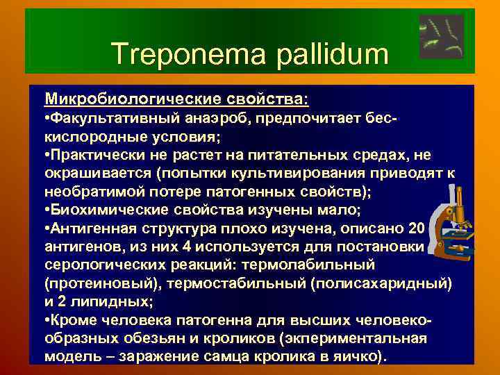 Treponema pallidum Микробиологические свойства: • Факультативный анаэроб, предпочитает бескислородные условия; • Практически не растет