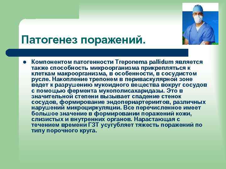 Патогенез поражений. l Компонентом патогенности Treponema pallidum является также способность микроорганизма прикрепляться к клеткам