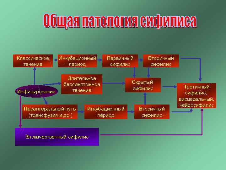 Классическое течение Инфицирование Инкубационный период Первичный сифилис Длительное бессимптомное течение Парантеральный путь (трансфузия и