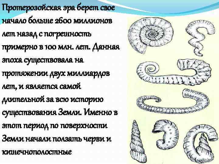 Протерозойская эра берет свое начало больше 2600 миллионов лет назад с погрешность примерно в