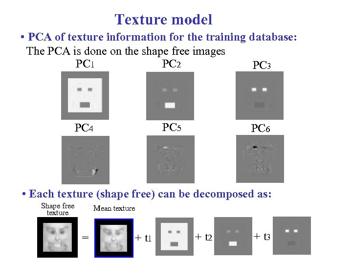 Texture model • PCA of texture information for the training database: The PCA is