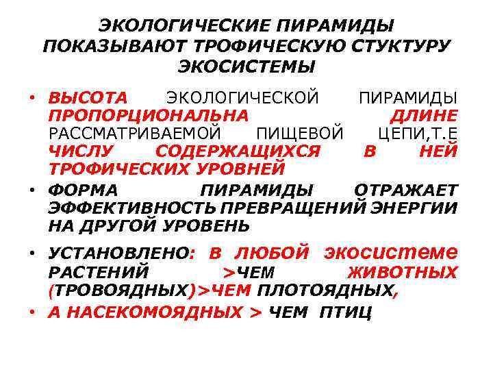 ЭКОЛОГИЧЕСКИЕ ПИРАМИДЫ ПОКАЗЫВАЮТ ТРОФИЧЕСКУЮ СТУКТУРУ ЭКОСИСТЕМЫ • ВЫСОТА ЭКОЛОГИЧЕСКОЙ ПИРАМИДЫ ПРОПОРЦИОНАЛЬНА ДЛИНЕ РАССМАТРИВАЕМОЙ ПИЩЕВОЙ