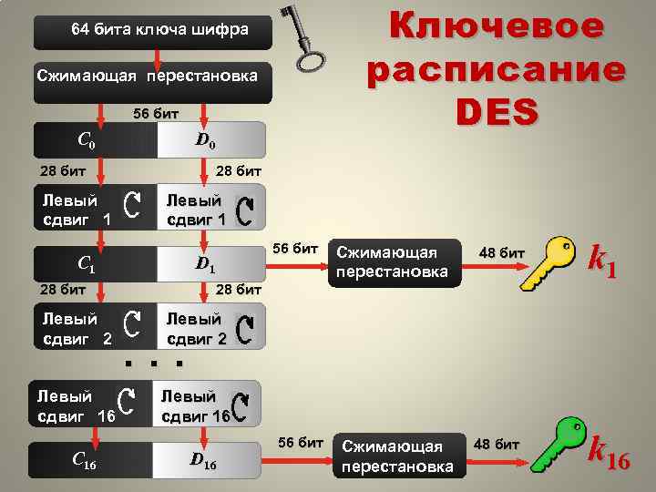 Ключевое расписание DES 64 бита ключа шифра Сжимающая перестановка 56 бит С 0 D