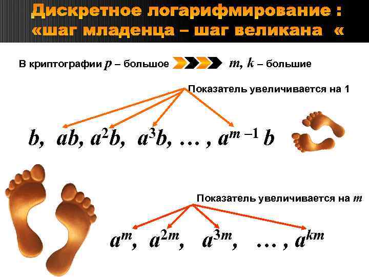 Дискретное логарифмирование : «шаг младенца – шаг великана» В криптографии р – большое m,