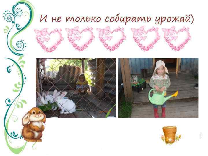И не только собирать урожай) 