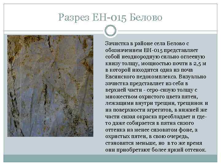 Разрез ЕН-015 Белово Зачистка в районе села Белово с обозначением ЕН-015 представляет собой неоднородную