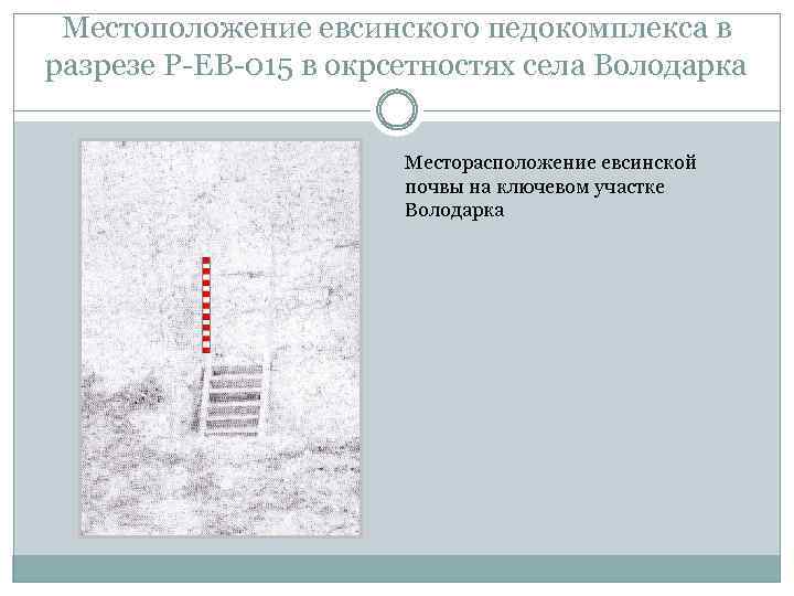 Местоположение евсинского педокомплекса в разрезе Р-ЕВ-015 в окрсетностях села Володарка Месторасположение евсинской почвы на