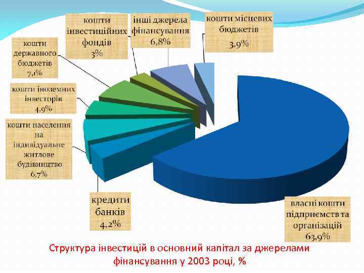Структура інвестицій в основний капітал за джерелами фінансування у 2003 році, % 