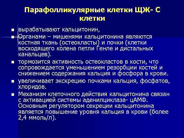 Парафолликулярные клетки ЩЖ- C клетки n n n вырабатывают кальцитонин, Органами – мишенями кальцитонина