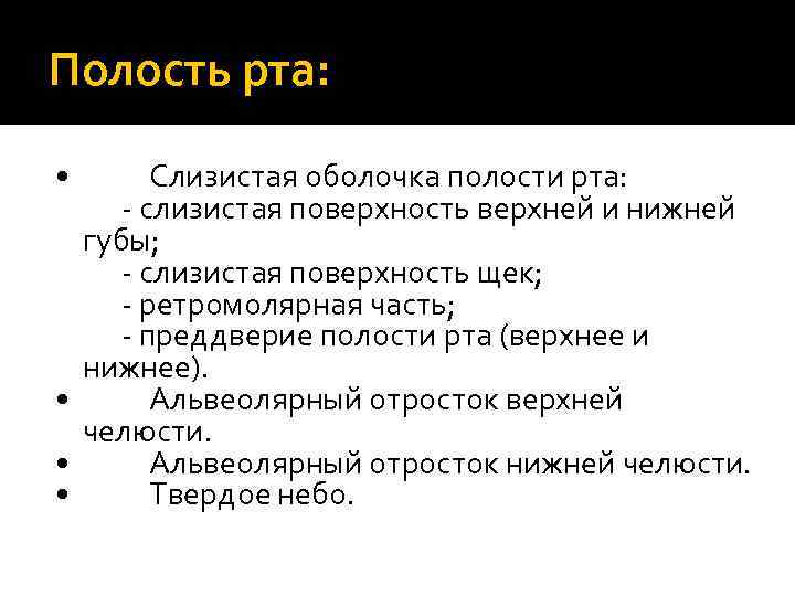 Полость рта: • Слизистая оболочка полости рта: - слизистая поверхность верхней и нижней губы;