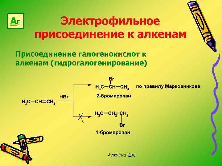 АЕ Электрофильное присоединение к алкенам Присоединение галогенокислот к алкенам (гидрогалогенирование) Алехина Е. А. 