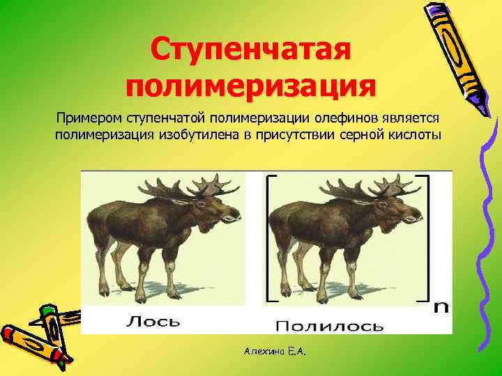 Ступенчатая полимеризация Примером ступенчатой полимеризации олефинов является полимеризация изобутилена в присутствии серной кислоты Алехина