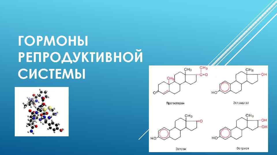 ГОРМОНЫ РЕПРОДУКТИВНОЙ СИСТЕМЫ 