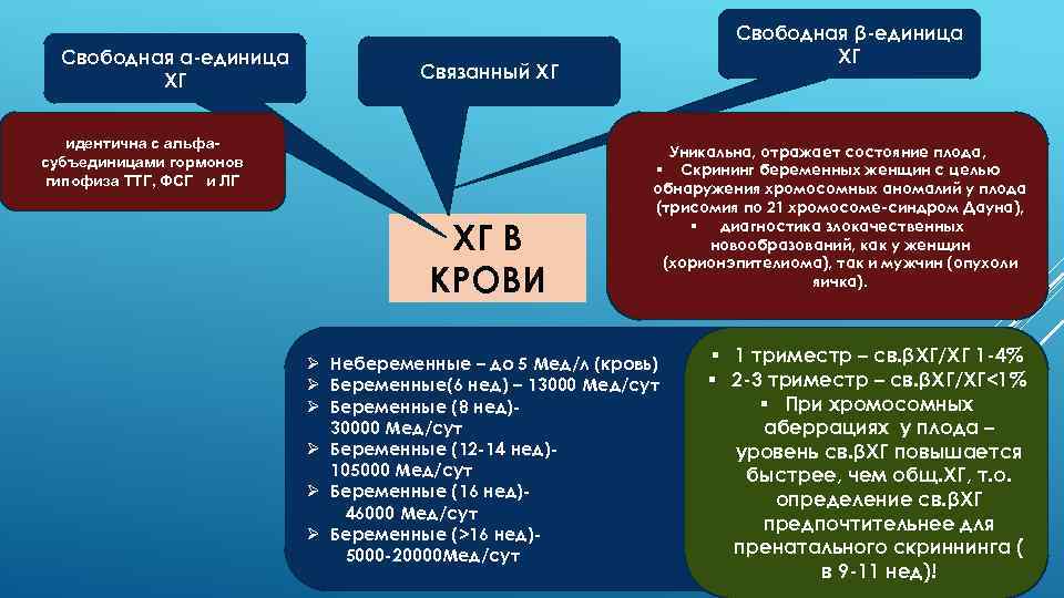 Свободная α-единица ХГ Свободная β-единица ХГ Связанный ХГ идентична с альфа субъединицами гормонов гипофиза