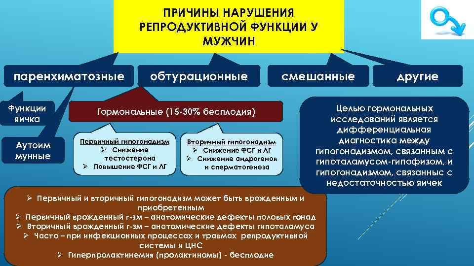 Репродуктивная функция. Нарушение функций репродуктивной системы. Нарушение репродуктивной функции у мужчин. Причины нарушения репродуктивной функции у мужчин. Функции мужской репродуктивной системы.