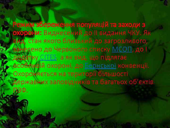 Режим збереження популяцій та заходи з охорони: Виднесений до ІІ видання ЧКУ. Як вид,