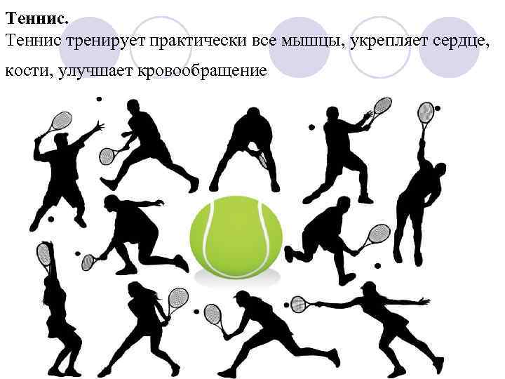 Теннис тренирует практически все мышцы, укрепляет сердце, кости, улучшает кровообращение 