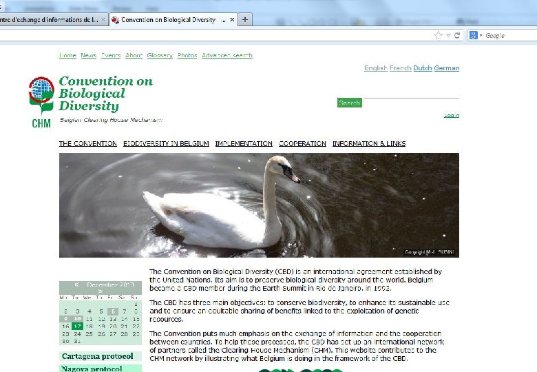 Formation sous-régionale, 5 mars 2007, Rabat 