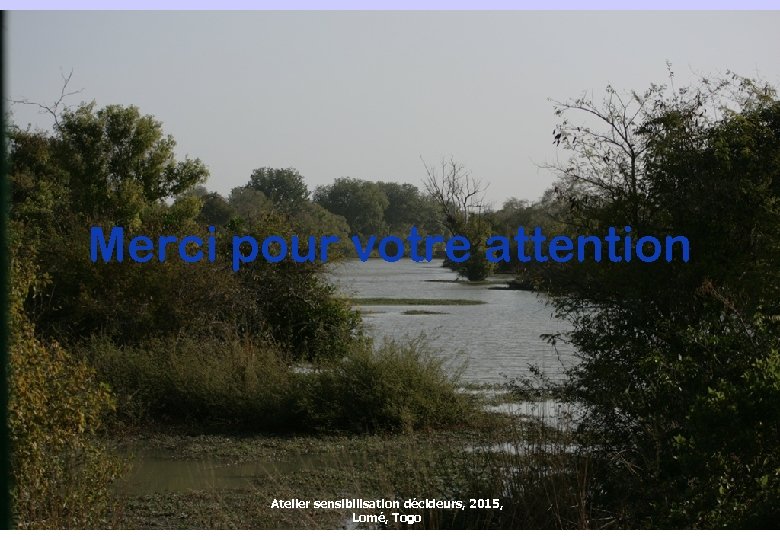 Merci pour votre attention Atelier sensibilisation décideurs, 2015, Lomé, Togo 