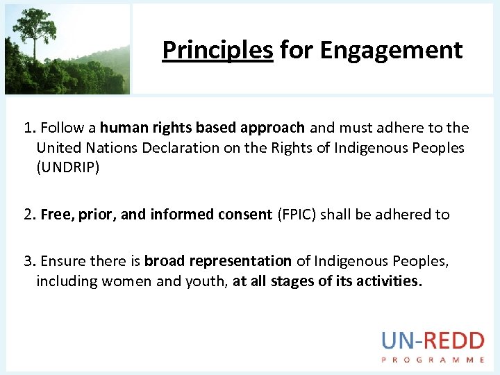 Principles for Engagement 1. Follow a human rights based approach and must adhere to