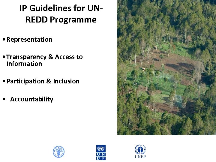 IP Guidelines for UNREDD Programme • Representation • Transparency & Access to Information •