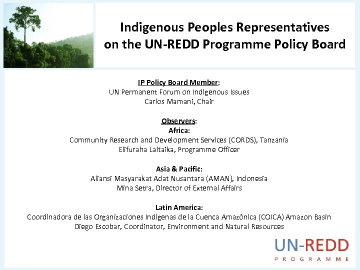 Indigenous Peoples Representatives on the UN-REDD Programme Policy Board IP Policy Board Member: UN