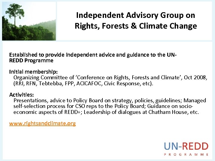 Independent Advisory Group on Rights, Forests & Climate Change Established to provide independent advice