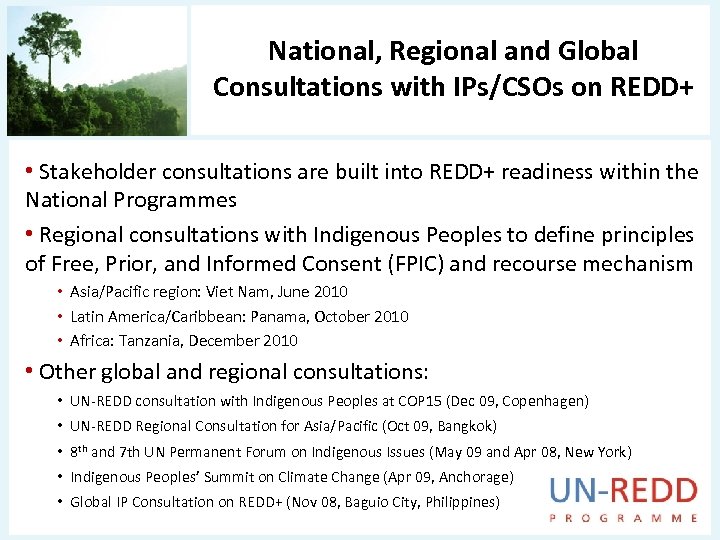 National, Regional and Global Consultations with IPs/CSOs on REDD+ • Stakeholder consultations are built