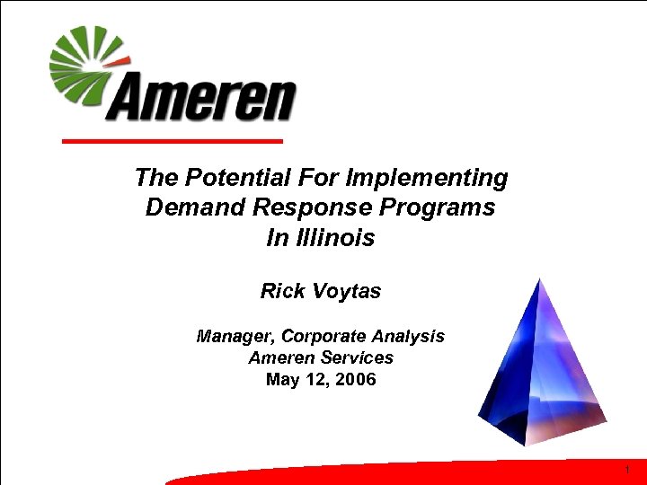 The Potential For Implementing Demand Response Programs In Illinois Rick Voytas Manager, Corporate Analysis