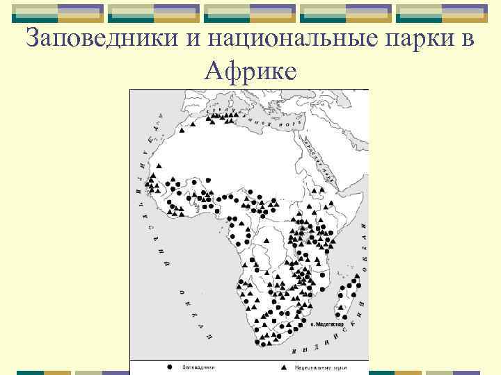 Заповедники и национальные парки в Африке 