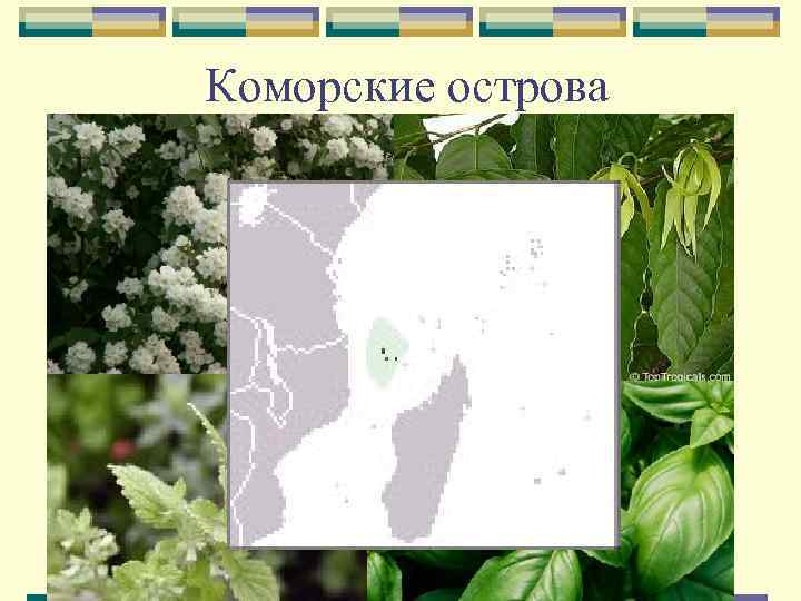 Коморские острова 