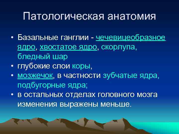 Патологическая анатомия • Базальные ганглии - чечевицеобразное ядро, хвостатое ядро, скорлупа, бледный шар •