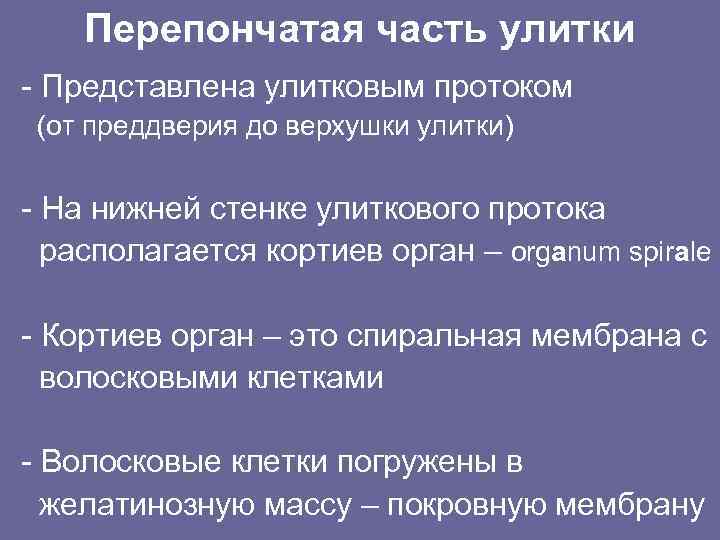 Перепончатая часть улитки - Представлена улитковым протоком (от преддверия до верхушки улитки) - На