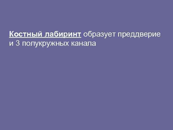 Костный лабиринт образует преддверие и 3 полукружных канала 