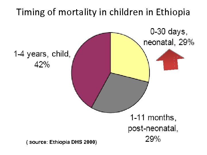 Timing of mortality in children in Ethiopia ( source: Ethiopia DHS 2000) 