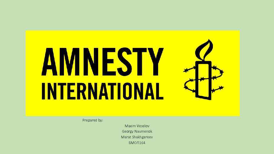 Amnesty International Prepared by: Maxim Veselov Georgy Naumenok Marat Shakhgereev БМОЛ 164 