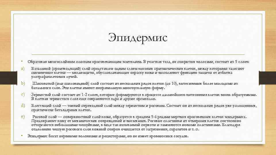 Эпидермис • Образован многослойным плоским ороговевающим эпителием. В участках тела, не покрытых волосами, состоит