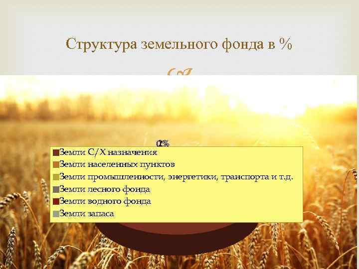 Структура земельного фонда в % 2% 0% Земли С/Х назначения Земли населенных пунктов 19%