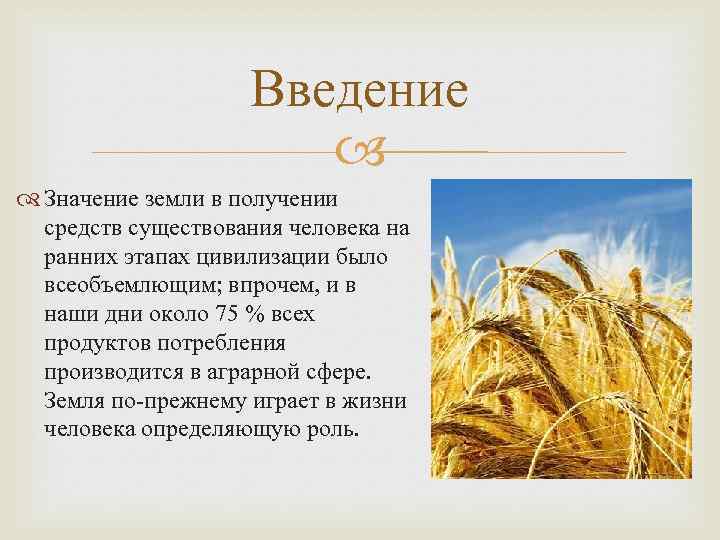 Введение Значение земли в получении средств существования человека на ранних этапах цивилизации было всеобъемлющим;